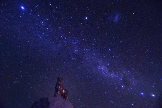 [Japanese Guide] Christchurch-Lake Tekapo Special Pick-up Plan - Important Confirmation and Accessibility Details