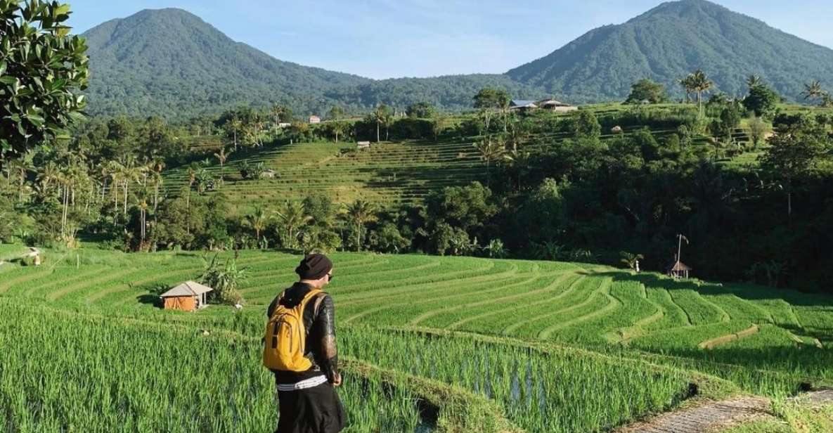 Jatiluwih Rice Terrace Mongky Forest and Baliswing West Tour - Directions