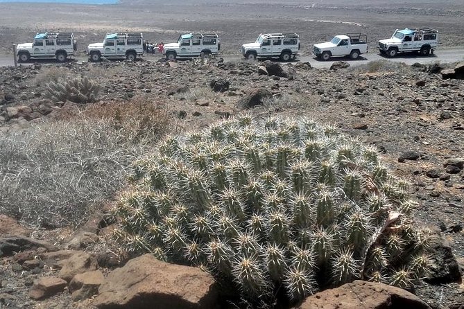 Jeep Tour to Cotillo and Northern Area of Fuerteventura - Last Words