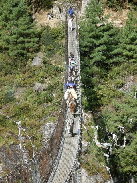 Journey to the Earth's Highest Mountain: Everest 15 Days - Trek to Tangboche