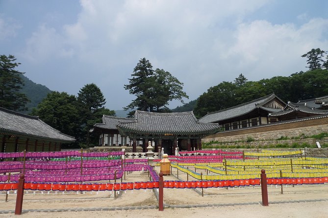 Junam Wetlands and Haeinsa Temple Tour - Booking Information