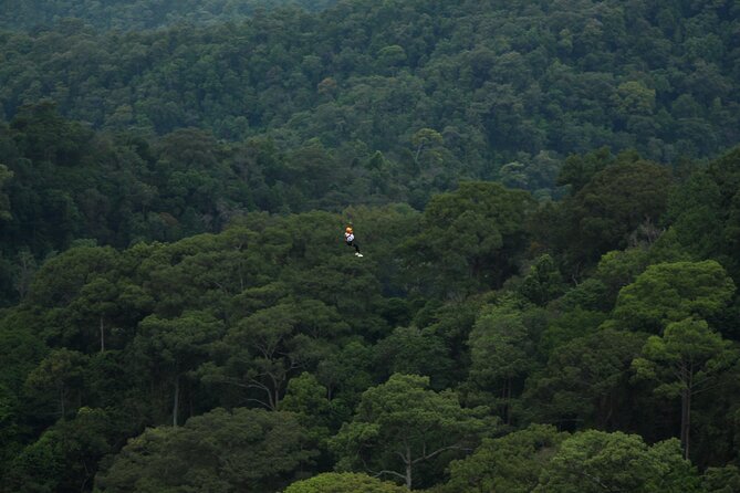 Jungle Flight Zipline Roller Coaster - Directions