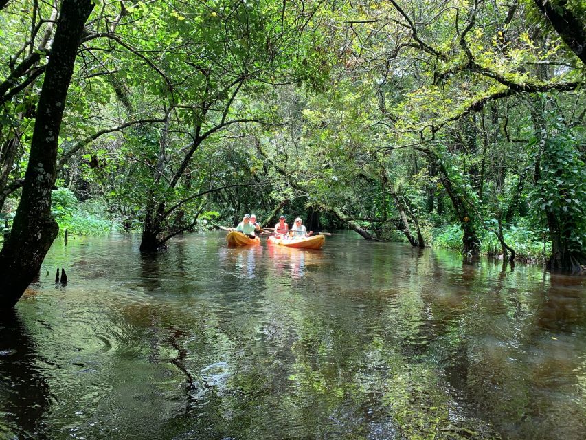 Jupiter: Loxahatchee River Scenic Kayak Tour - Location Details