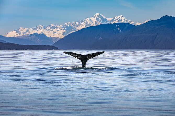 Kaikoura Day Trip From Christchurch (Small Group & Carbon Neutral) - Logistics and Meeting Points