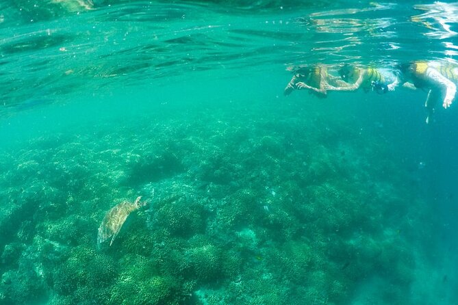 Kaneohe Sandbar Snorkeling Tour / 1st Tour - Unique Tour Experiences and Highlights