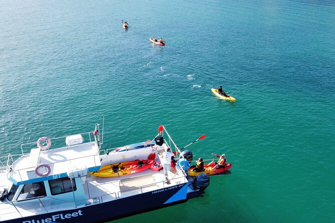 Kayak Experience in Ponta Da Piedade - Transparent Pricing and Booking