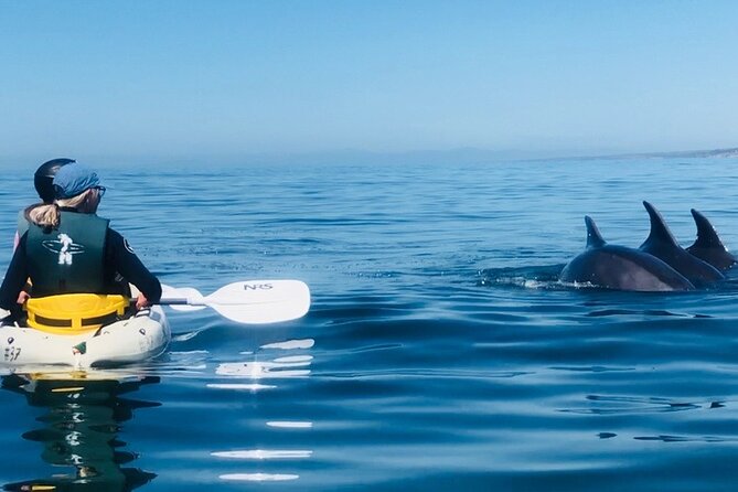 Kayak Rental for Two People in La Jolla - Accessibility and Transportation