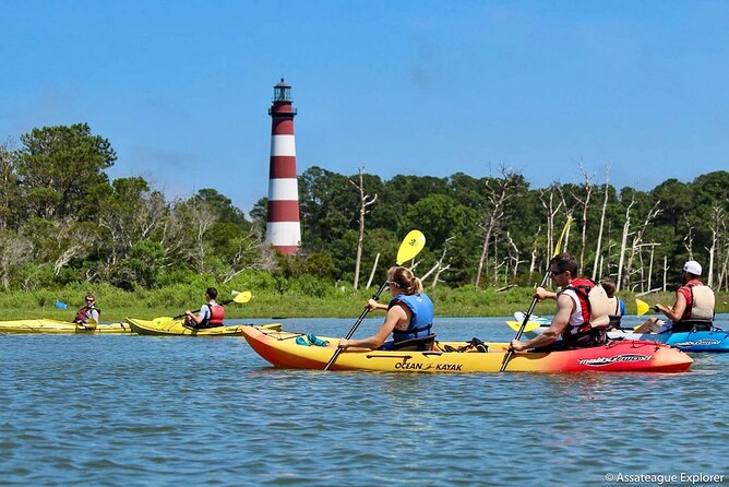 Kayak Tour Along Assateague & Chincoteague Island, Virginia - Tour Pricing and Booking Details