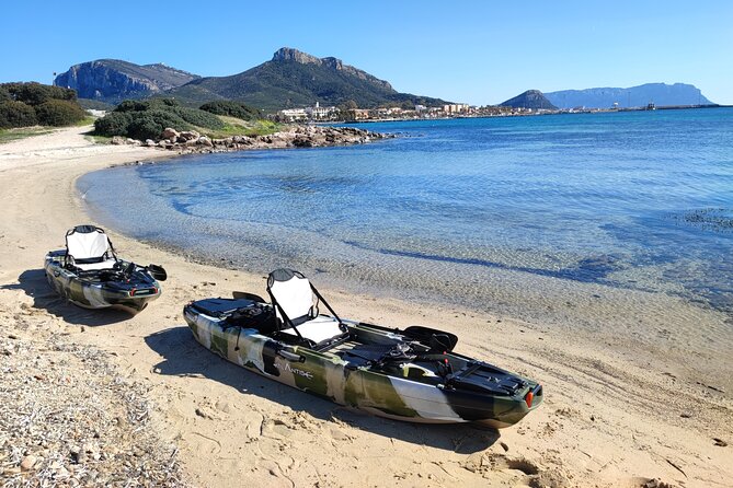 Kayak Tour in Golfo Aranci With Aperitif and Dolphin Watching - Reviews and Ratings