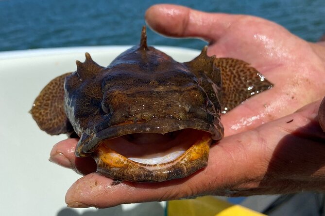 Kayak Tours With Amazing Caves, Sea Life and Marine Biologist . - Last Words