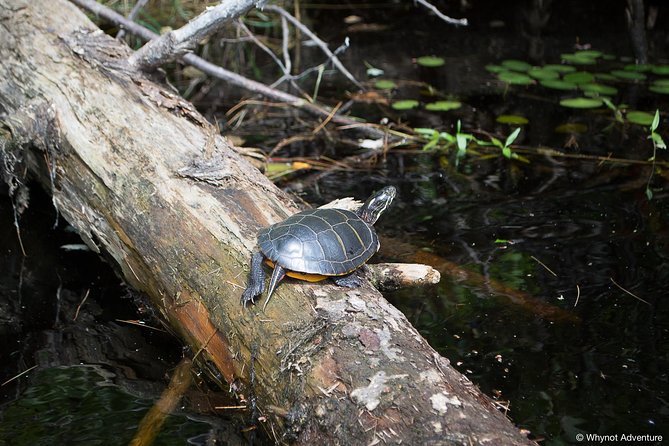 Kejimkujik National Park Paddling Adventure - Common questions