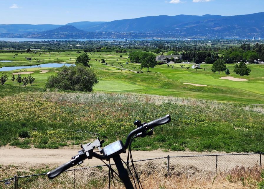 Kelowna: E-Bike Bee Tour W/ Tastings, Lunch, and Audioguide - Customer Reviews and Information