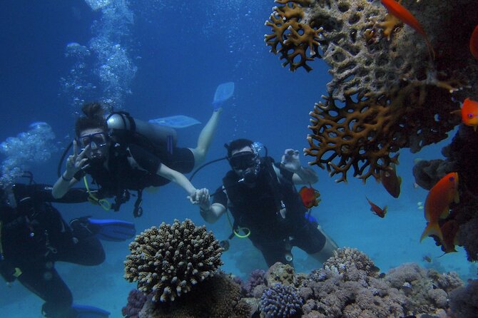 Kemer Scuba Diving Experience: Two Dives With Lunch - Common questions