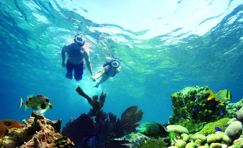 Key West: 3-Hour Snorkeling Adventure - Common questions