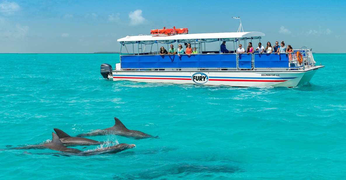 Key West: Dolphin Watching and Snorkeling Eco Cruise Tour - Common questions