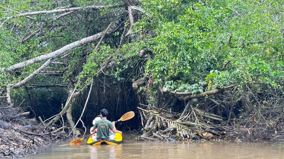 Khao Lak: Elephant Sanctuary Visit and Mangrove Kayak Tour - Location Details