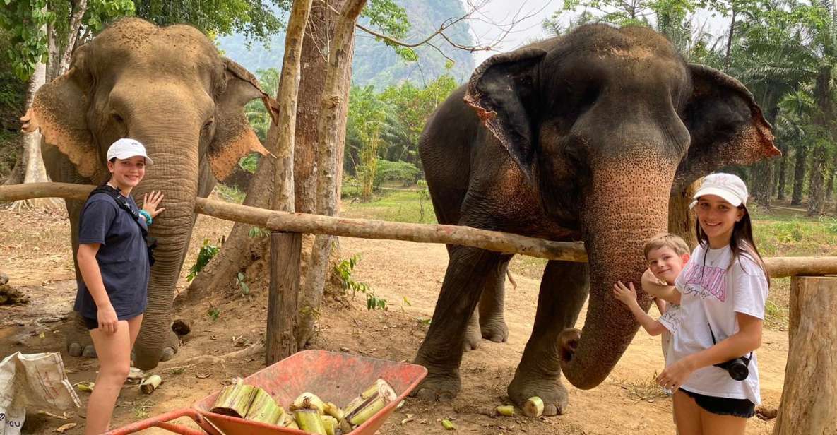 Khao Lak: Khao Sok Elephant Sanctuary and Night Jungle Walk - Cherished Memories and Departure