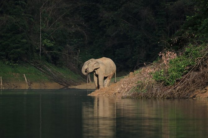 Khao Sok Wildlife 2 Days - Traveler Reviews