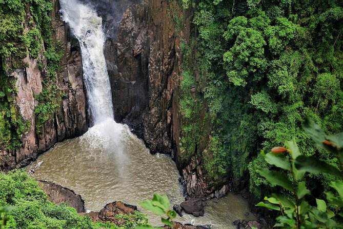 Khao Yai National Park With Waterfall & Hiking - Last Words