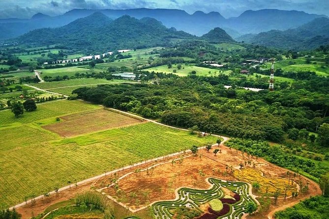 Khao Yai Winery - Vineyard Tours & Animal Lover With Horse Farm - Common questions