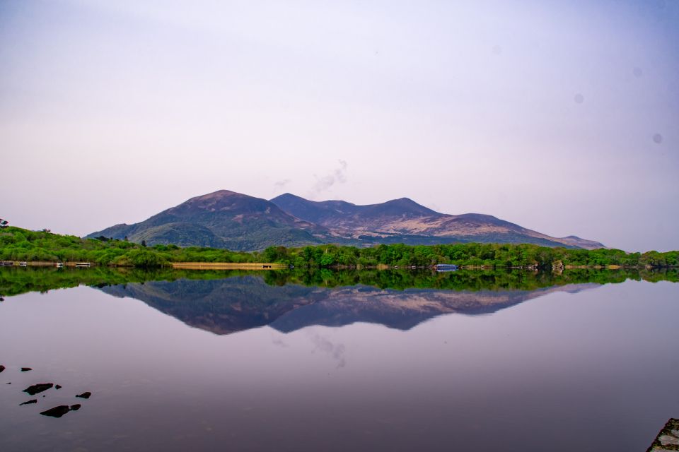 Killarney: Guided Boat Tour to Innisfallen Island - Customer Reviews