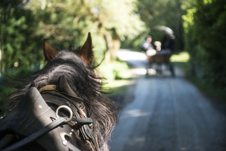 Killarney on Horse & Carriage: 1-Hour Jaunting Car Tour - Location & Ratings