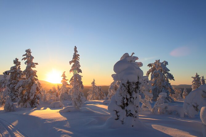 Kiruna Small-Group Snowshoe Activity - Directions