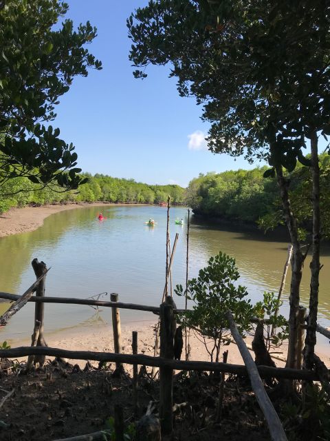 Ko Lanta: Half-Day Mangrove Kayaking Tour With Lunch - Customer Service & Overall Rating