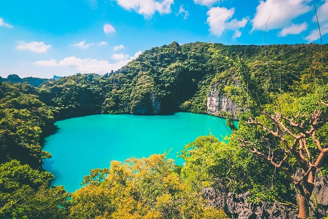 Koh Phaluai and Ang Thong Marine Park Tour by Speedboat From Koh Samui - Booking Information