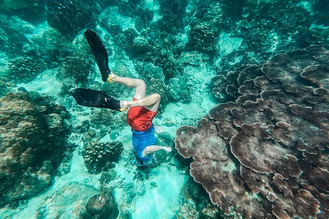 Koh Tao VIP Snorkelling Tour - Pricing Options