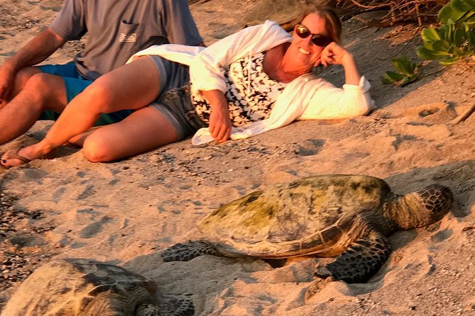 Kona Shore Excursion: Sea Turtles, Historic Kona & Coffee - Last Words