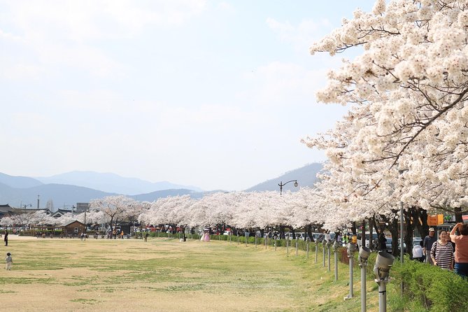 Korean UNESCO World Heritage Tour Including Gyeongju, Andong and Daegu(2n3d) - Common questions