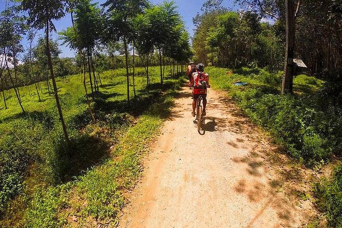 Krabi Countryside Eco Cycling Tour - Multiple Trails - Reviews and Feedback
