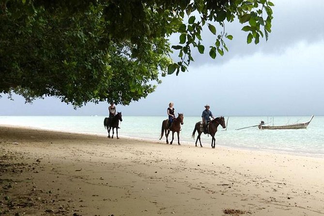 Krabi Horse Riding at The Beach - Directions
