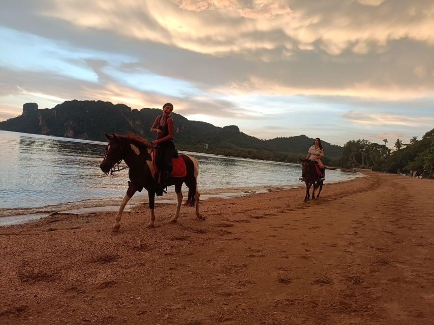 Krabi Horse Riding on the Beach and Atv Extreme - Customer Support