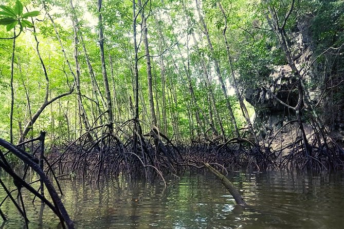 Krabi: Kayaking Tour at Ban Bor Thor Ancient Cave & Mangroves - Common questions