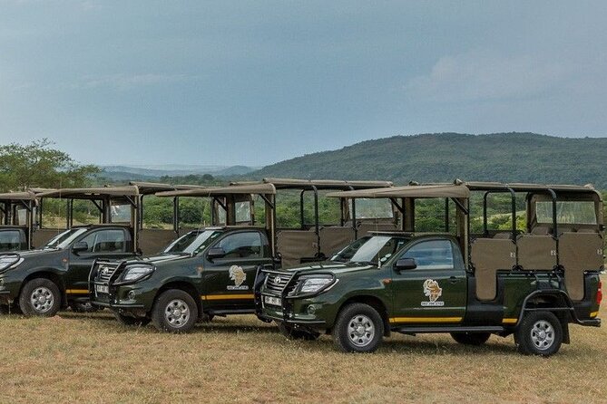 Kruger National Park Afternoon Private Safari - Pricing and Booking Information