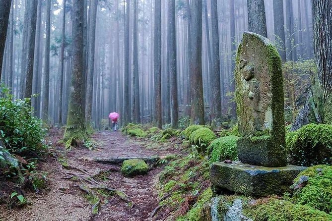 Kumano Kodo Pilgrimage Full-Day Private Trip With Government Licensed Guide - Cancellation Policy