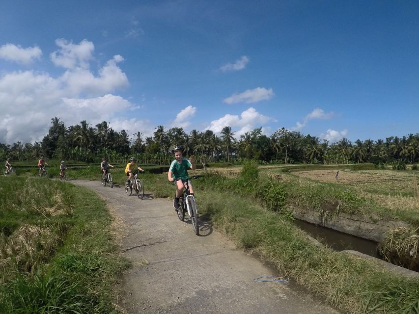 Kuta: Kintamani Culture and Nature Guided Cycling Tour - Common questions