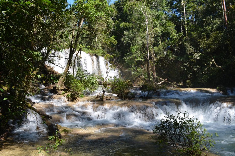 Lacandon Jungle Tour From Palenque: River Rafting and Hiking - Logistics