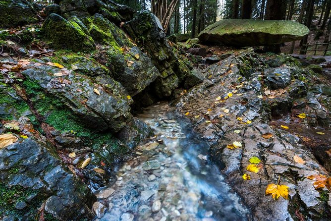 Lake Como Trekking Private Guided Tour, From Milan or Como - Background