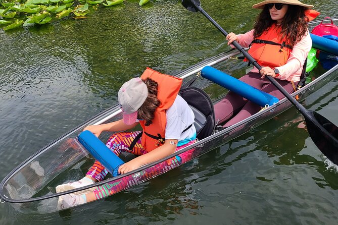 Lake Ivanhoe Guided Paddleboard or Kayak Tour in Orlando - Viator Help Center