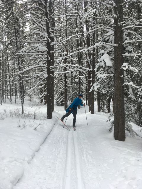 Lake Louise: Cross Country Skiing Lesson With Tour - Last Words