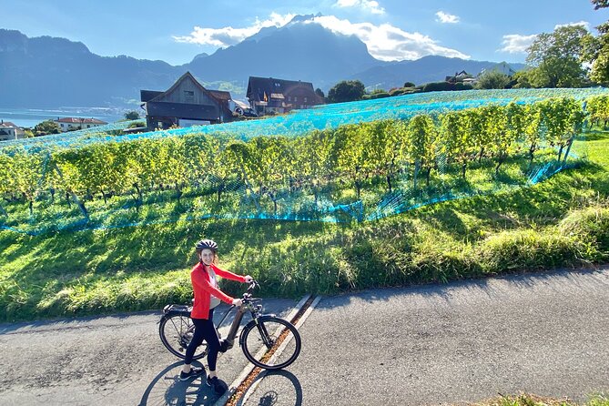 Lake Lucerne Peninsula E-Bike Tour - Traveler Requirements and Restrictions