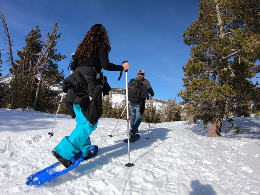 Lake Tahoe: Snowshoeing Guided Tour - Experience Highlights