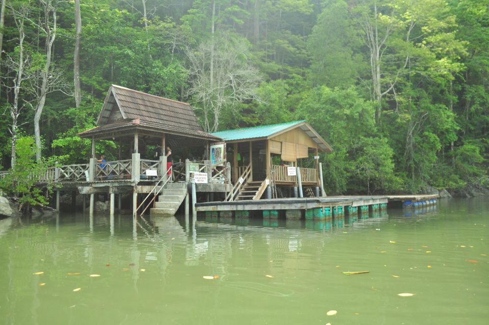 Langkawi: Full-Day Mangrove Safari Boat Tour With Lunch - Customer Reviews