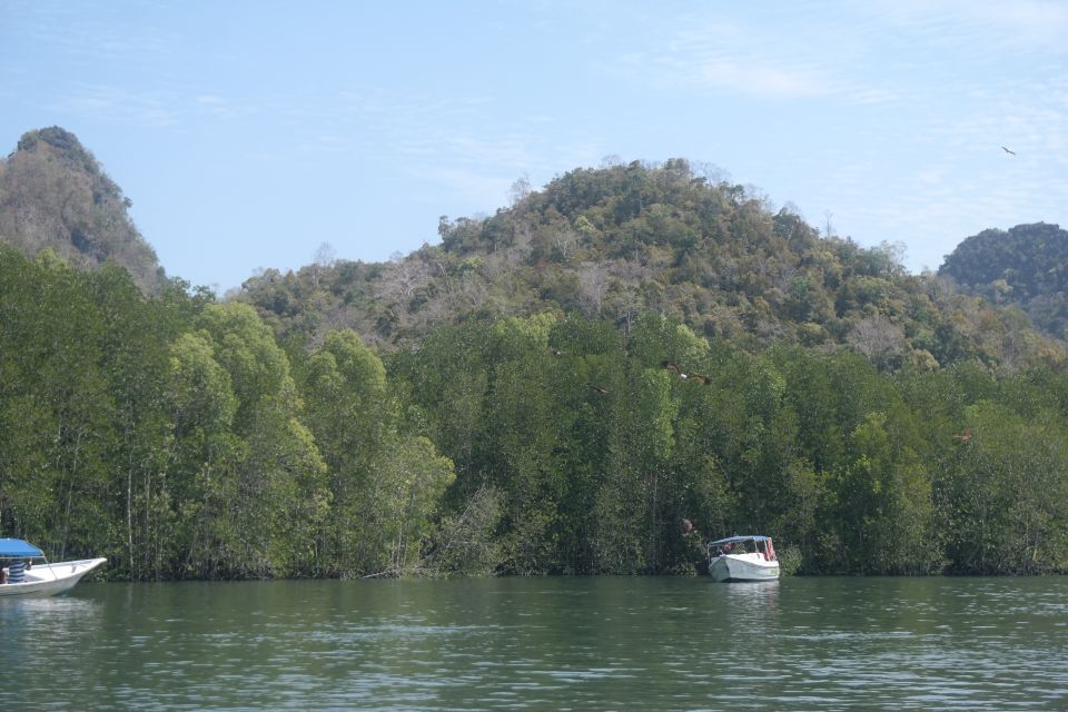 Langkawi UNESCO Global Geopark Mangrove Cruise - Review Summary