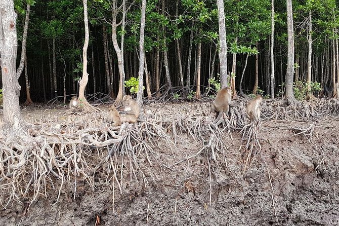 Lanta Old Town and Mangrove Forest Sightseeing Tour - Additional Information