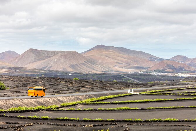 Lanzarote Tour With Timanfaya National Park and El Golfo - Office Hours and Limitations