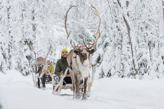 Lapland Reindeer Safari From Levi - Common questions